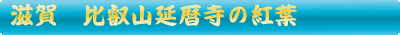 比叡山延暦寺の紅葉