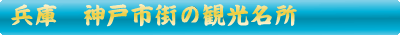 神戸市立王子動物園の桜
