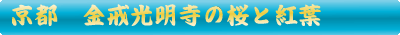 金戒光明寺の桜と紅葉