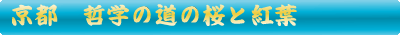 哲学の道の桜と紅葉