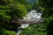 祖谷のかずら橋