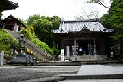 熊谷寺（8番札所）の紫陽