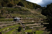 小豆島　中山千枚田