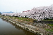 正法寺川公園