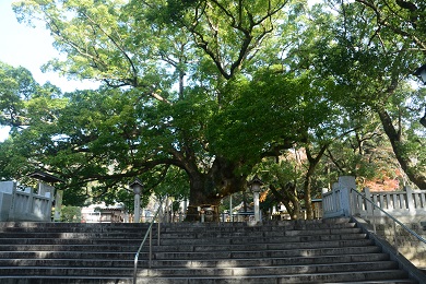 大麻比古神社