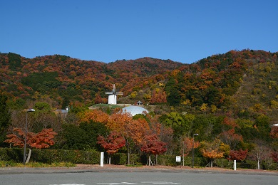 あすたむらんど徳島（紅葉）