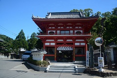 板野町　金泉寺