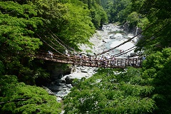 三好市　祖谷のかずら橋