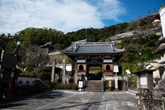 美波町　薬王寺