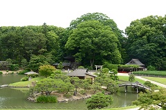 岡山市　後楽園