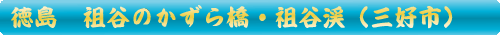 三好市　祖谷のかずら橋