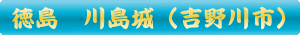 吉野川市　川島城
