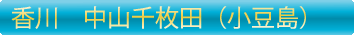 小豆島　中山千枚田