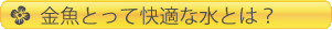金魚とって快適な水とは？